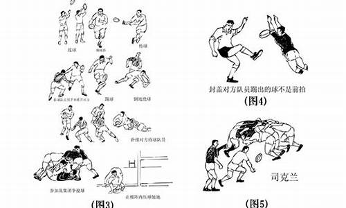 7人制橄榄球规则_7人制橄榄球位置介绍